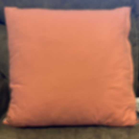 Lacourte Kuro Cotton 20" x 20"Decorative Pillow- Duck feathers & Embelli… - Picture 7 of 12